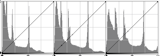 Histogram