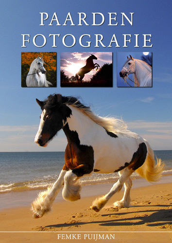 Omslag boek Paardenfotografie