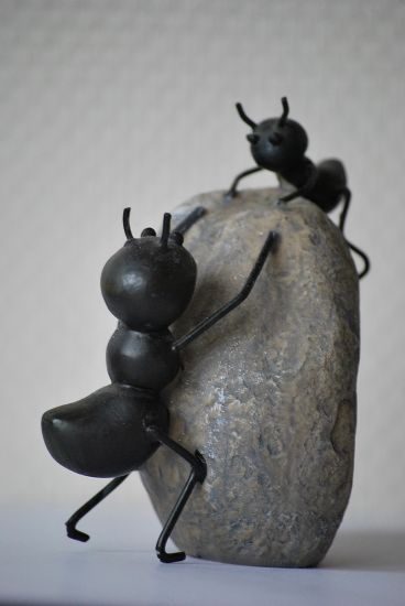 Ants Ants