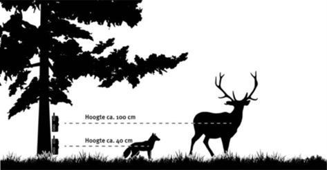 Positiebepaling en plaatsing wildcamera