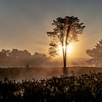 Fotograferen met mist