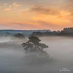 Mist op de Brunssummerheide