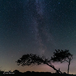 Nachtfotografie op Schiermonnikoog (deel 2)