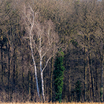 Landschapsfotografie met een telelens