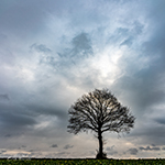Landschapsfotografie met een telelens
