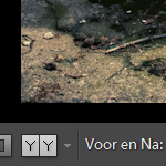 Lightroom: voor en na foto vergelijken