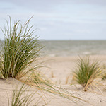 Fotograferen op de Marker Wadden