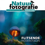Interview met Daan Schoonhoven van Natuurfotografie Magazine