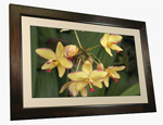 Smartparts 32 inch digitale fotolijst