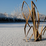 Morgenochtend ideaal voor sneeuwfoto's