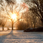 Kleurtemperatuur; de juiste kleuren in je foto