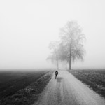 9 tips voor het fotograferen in de mist