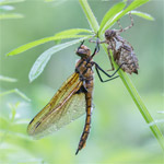 Een natuurfotografietripje naar het zuiden