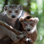 Fotoreis naar Madagaskar, land van uitersten