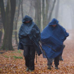 Bosfotografie; Na zonneschijn komt regen..