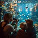 Cameranu Experience Day 2025 in Burgers’ Zoo: fotografie, natuur en inspiratie
