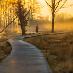 De magie van landschapsfotografie