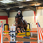 Paardenfotografie in een binnenbak