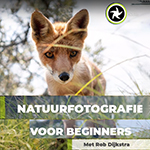 Review: Cursus Natuurfotografie voor Beginners