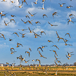 23 favoriete fotografielocaties in Nederland van lezers