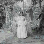 De Sony World Photography Awards 2026 winnaar