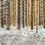 10 Tips voor fantastische landschappen in de sneeuw