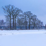 Enkele tips over fotograferen in de sneeuw