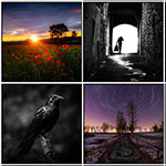 5 Tips om je fotografie in het nieuwe jaar te verbeteren