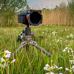 Landschapsfotografie tip: Pas op met groothoek en polarisatiefilters