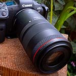 Review: Canon RF 100mm f/2.8L IS macro lens
