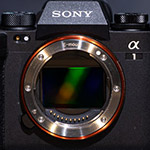 Review: Sony A1 mirrorless camera