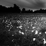 Grafisch zwart-wit voor zomerse hard licht situaties