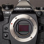 De nieuwe OM-Systems OM-1 mark II en de 150-600mm supertelezoom