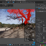 Een eerlijk vergelijk tussen DXO Photolab en Lightroom Classic Een eerlijk vergelijk tussen DXO Photolab en Lightroom Classic