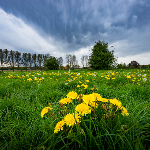 Voorkom onnodig lege delen in een foto