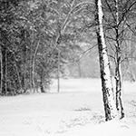 Correcte belichting bij het fotograferen in de sneeuw