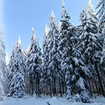 Natuurfoto tip: Sneeuw voorspellen met Windy