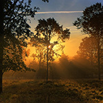 Natuurfotografie tip: Let op de zonrichting bij aankomst