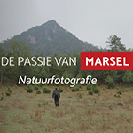 De passie van Marsel - natuurfotografie