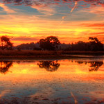 Van luchten fotograferen naar landschapsfotografie