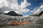 Zeshonderd naakten poseren op Zwitserse gletsjer