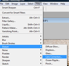 Lens correction selectere