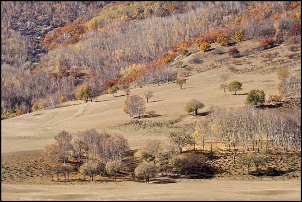 Heuvels met begroeiing in herfsttinten heuvels met begroeiing in herfsttinten