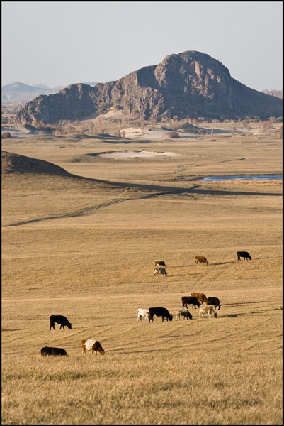 steppe gezien vanaf een heuvel