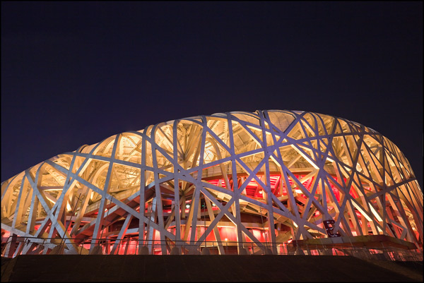 close shot Bird's Nest