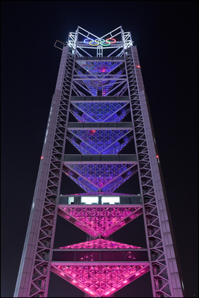multicolor illuminated Linglong Tower