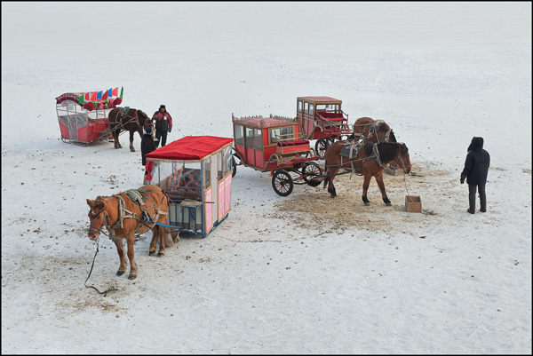 paardentaxi naar Sun island