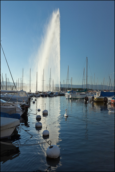 Geneve, jachthaven met fontijn