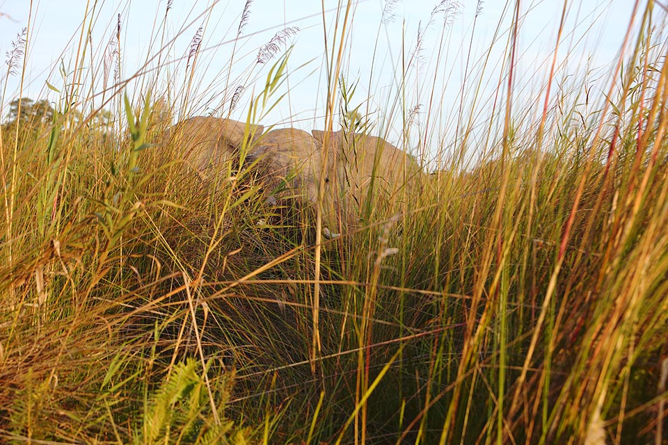 220616 05 Mokoro Okavango Delta 346