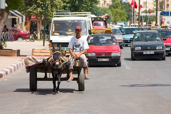 Een ezelkarretje houdt het verkeer op in Oujda